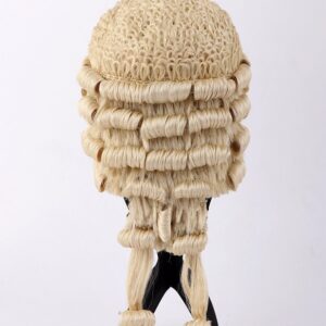 Law WIg and Gown